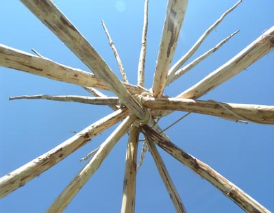 Stick to gather